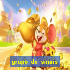 grupo de sinais trader telegram